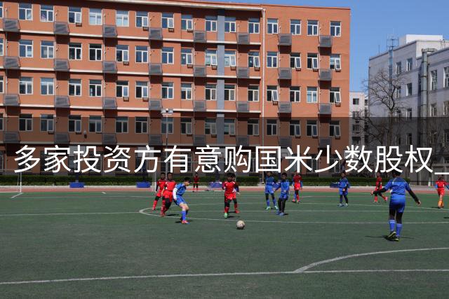 多家投资方有意购国米少数股权 估值成焦点